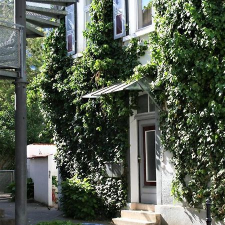 Kleiner Herrenhof 沃尔姆斯 外观 照片