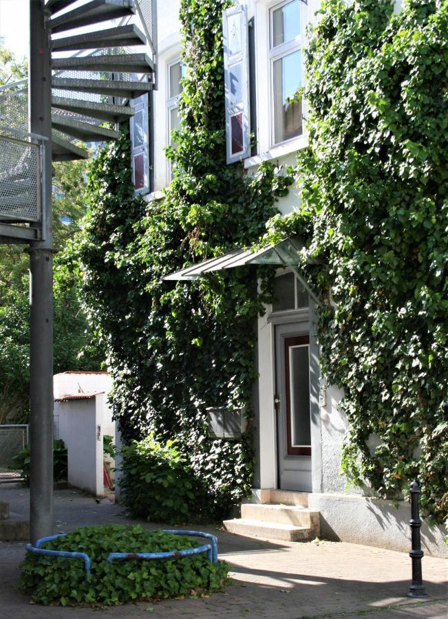Kleiner Herrenhof 沃尔姆斯 外观 照片